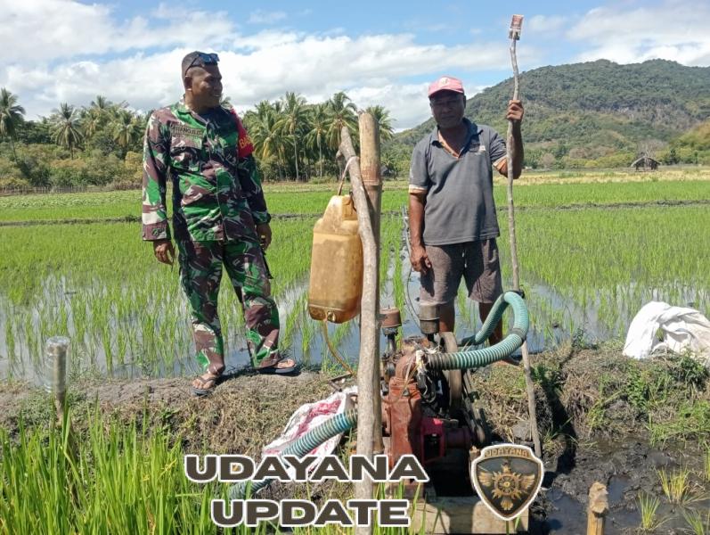 Komsos dan Monitoring TNI di Wilayah Binaan Tingkatkan Produktivitas Pertanian di Maurole