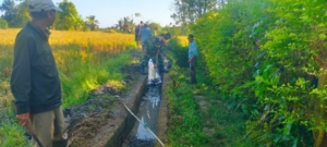 Kebersamaan Terjalin, Babinsa Sarimekar Dampingi Subak Buwug Rawat Irigasi