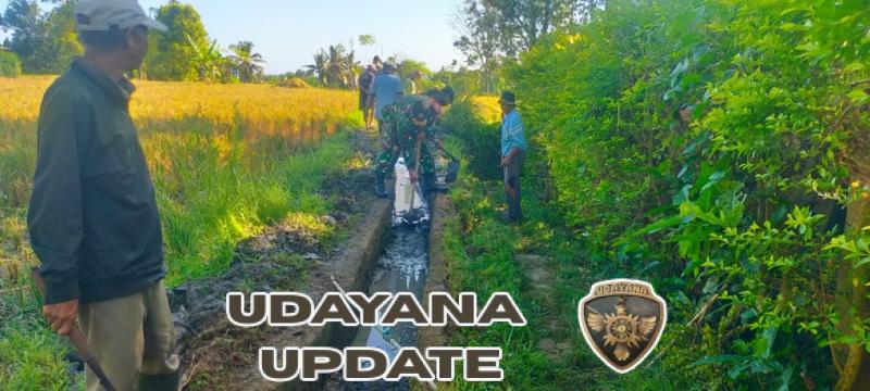 Kebersamaan Terjalin, Babinsa Sarimekar Dampingi Subak Buwug Rawat Irigasi