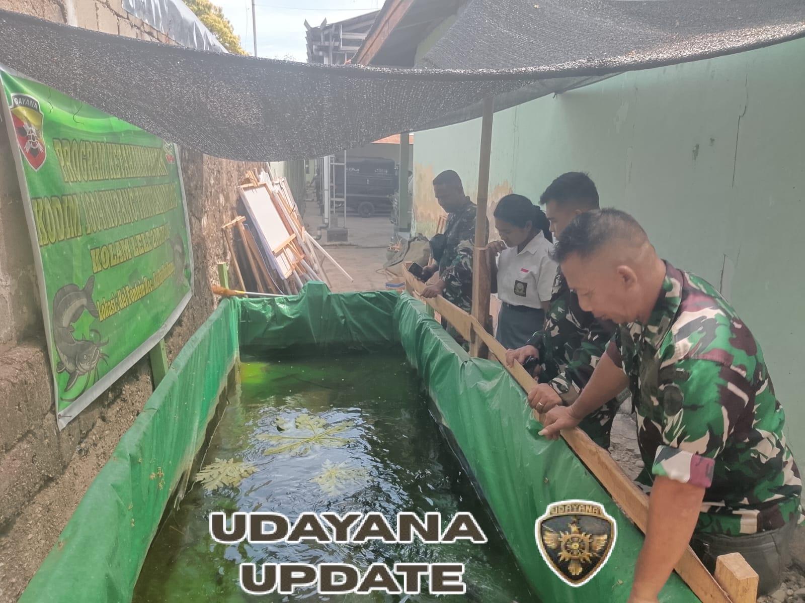 Budidaya Lele Jadi Upaya Strategis Tingkatkan Kesejahteraan Prajurit