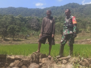 Sinergi Babinsa dan Penyuluh Pertanian Perkuat Ketahanan Pangan di Kecamatan Kotabaru