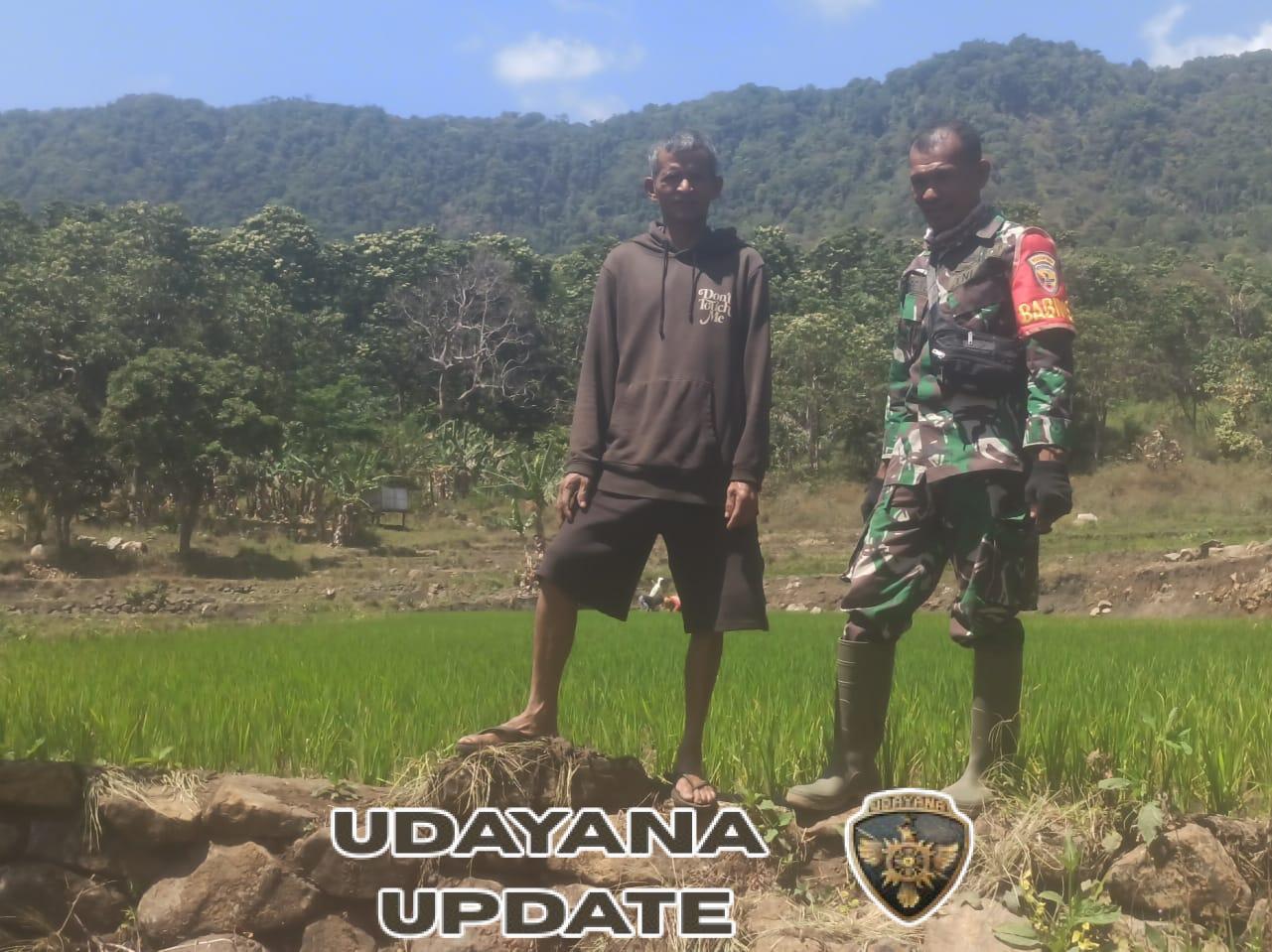 Sinergi Babinsa dan Penyuluh Pertanian Perkuat Ketahanan Pangan di Kecamatan Kotabaru