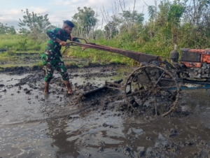 Sinergi TNI dan Petani: Babinsa Kodim 1601/ST Bantu Olah Lahan Pertanian