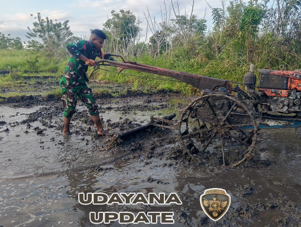 Sinergi TNI dan Petani: Babinsa Kodim 1601/ST Bantu Olah Lahan Pertanian