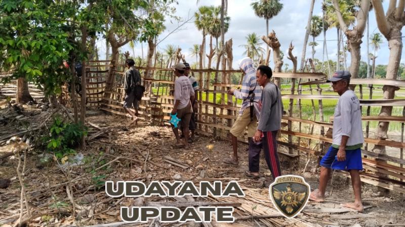 Babinsa Kuli dan P3A Laksanakan Pemeriksaan Pagar Kompleks Persawahan Limbadale Tahap II