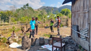 Babinsa Koramil Aesesa Terjun Langsung Bantu Pembuatan Pagar Kebun Pepaya Milik Desa Langedhawe