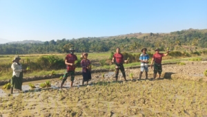 Dukung Ketahanan Pangan, Pos Maubusa Satgas Yonif 741/GN Tanam Padi bersama Masyarakat Perbatasan