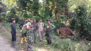 Babinsa Tabundung dan Polhut Gelar Patroli Gabungan di Taman Nasional Cegah Karhutla