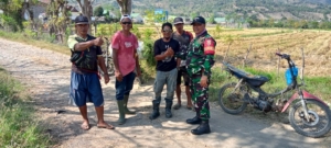 Koordinasi Babinsa dan Bulog untuk Serap Panen Padi