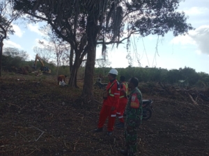 Dukung Program Nasional, Babinsa Rote Timur Awasi Pembersihan Lahan Tambak Garam