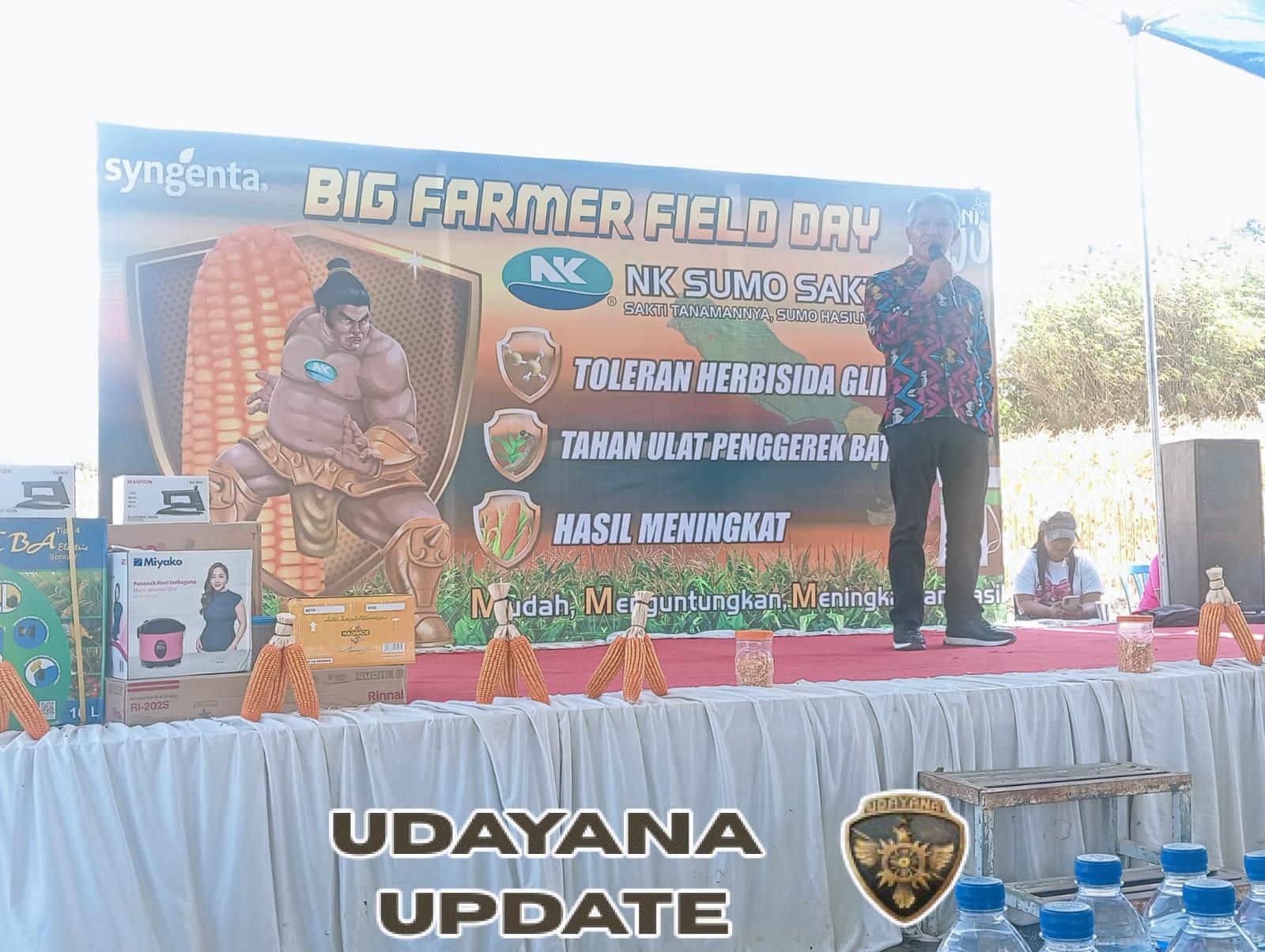 Kadis Pertanian dan Tokoh Masyarakat Saksikan Panen Perdana Jagung Bioteknologi di Bima