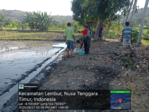 Luas Tanam Padi di Desa Tulleng Capai 23,05 Hektar