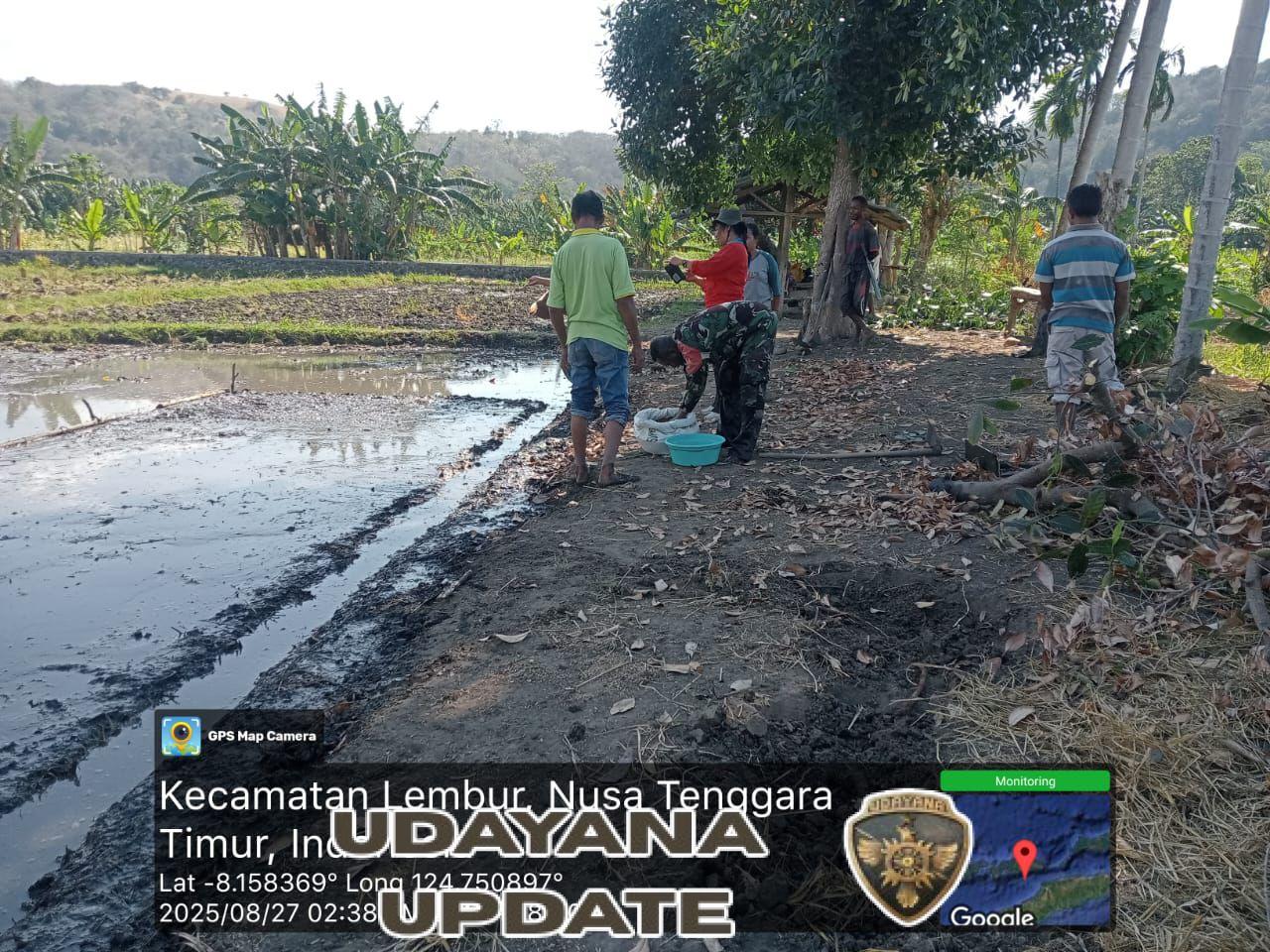 Luas Tanam Padi di Desa Tulleng Capai 23,05 Hektar