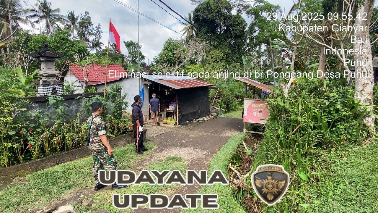 Babinsa Puhu Dampingi Vaksinasi dan Eliminasi Anjing Rabies