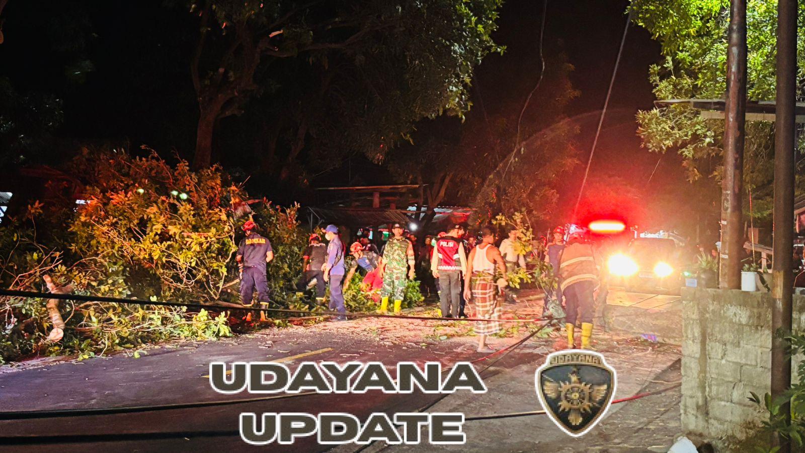 Kolaborasi TNI, Polri, Damkar Evakuasi Pohon Tumbang