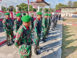 Semangat Nasionalisme, Dandim 1602/Ende Kerahkan Pasukan di Upacara Ziarah HUT RI