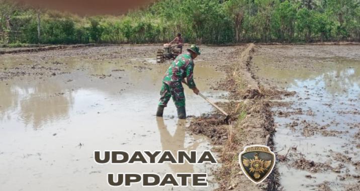 Sinergi TNI dan Petani, Babinsa Dampingi Pengelolaan Lahan Sawah di Praingkareha