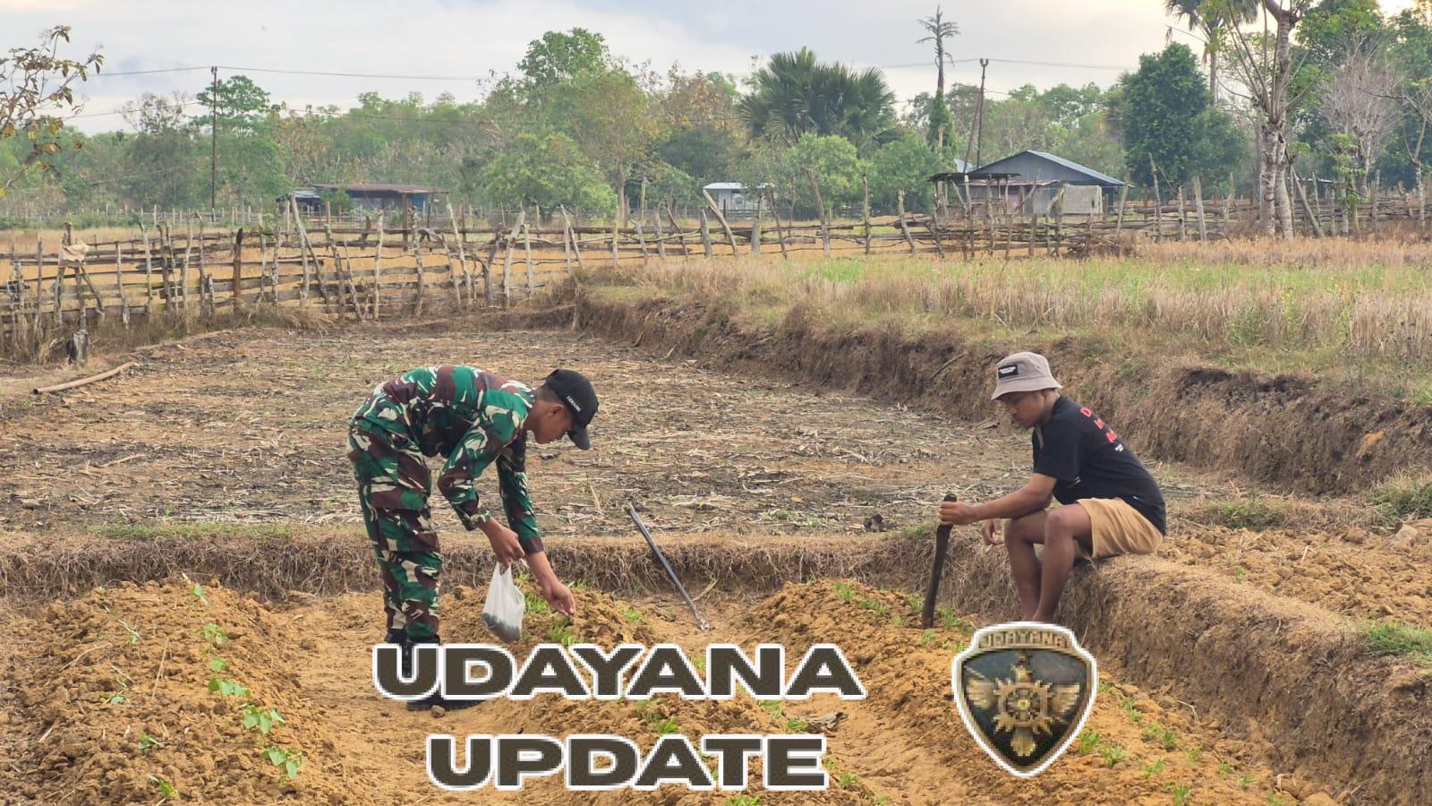 Dukung Ketahanan Pangan, Satgas Pos Asulait Bersama Mahasiswa Manfaatkan Lahan Kosong Dengan Tanami Sayuran