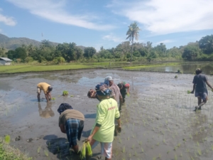 TNI AD Satkowil Gelar Pamwil dan Komunikasi Sosial di Wilayah Binaan Ende