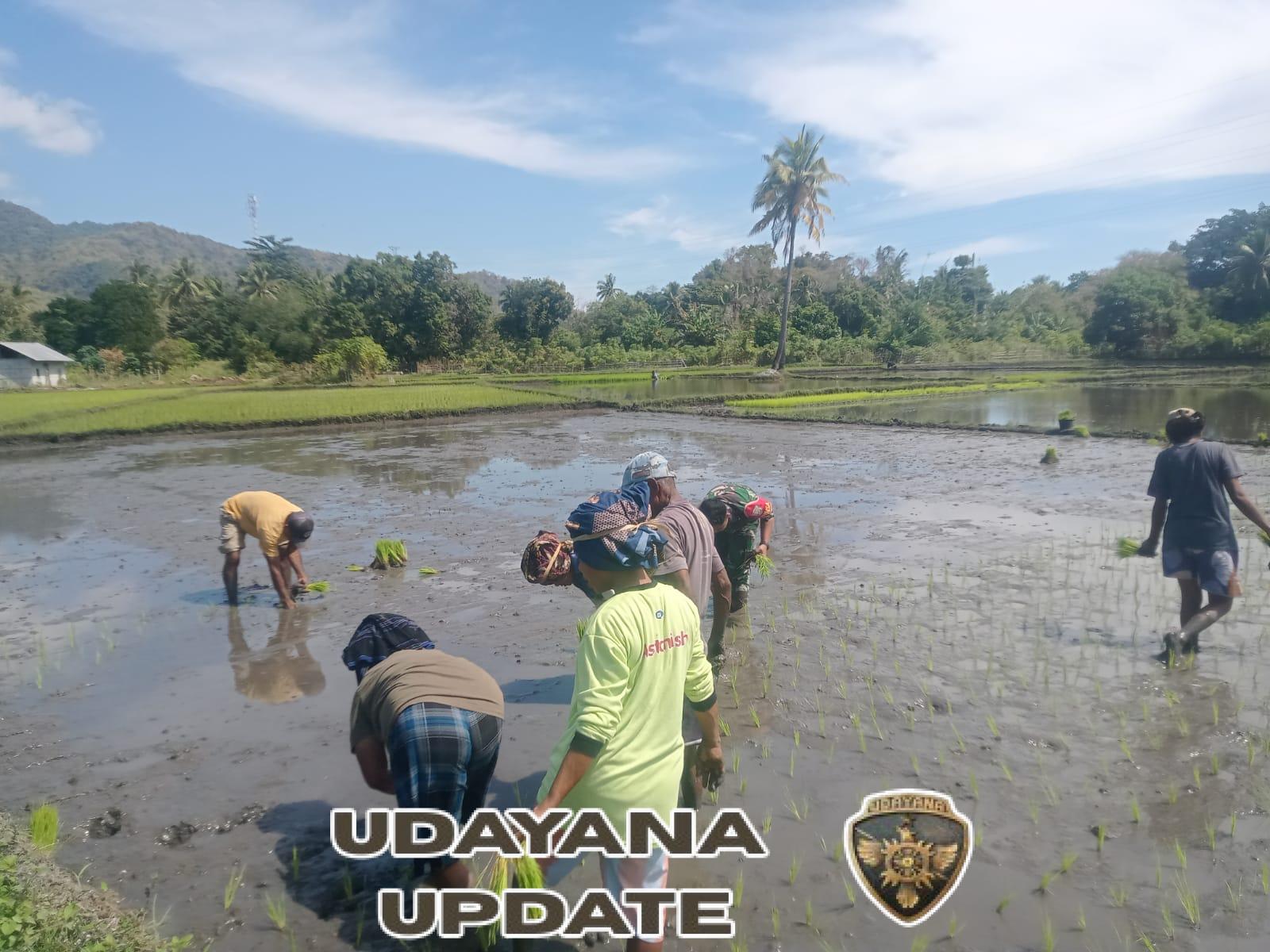 TNI AD Satkowil Gelar Pamwil dan Komunikasi Sosial di Wilayah Binaan Ende