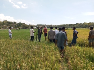 Program Dukung Pemerintah, Babinsa Dampingi Pengukuran Tanah Tim BPN