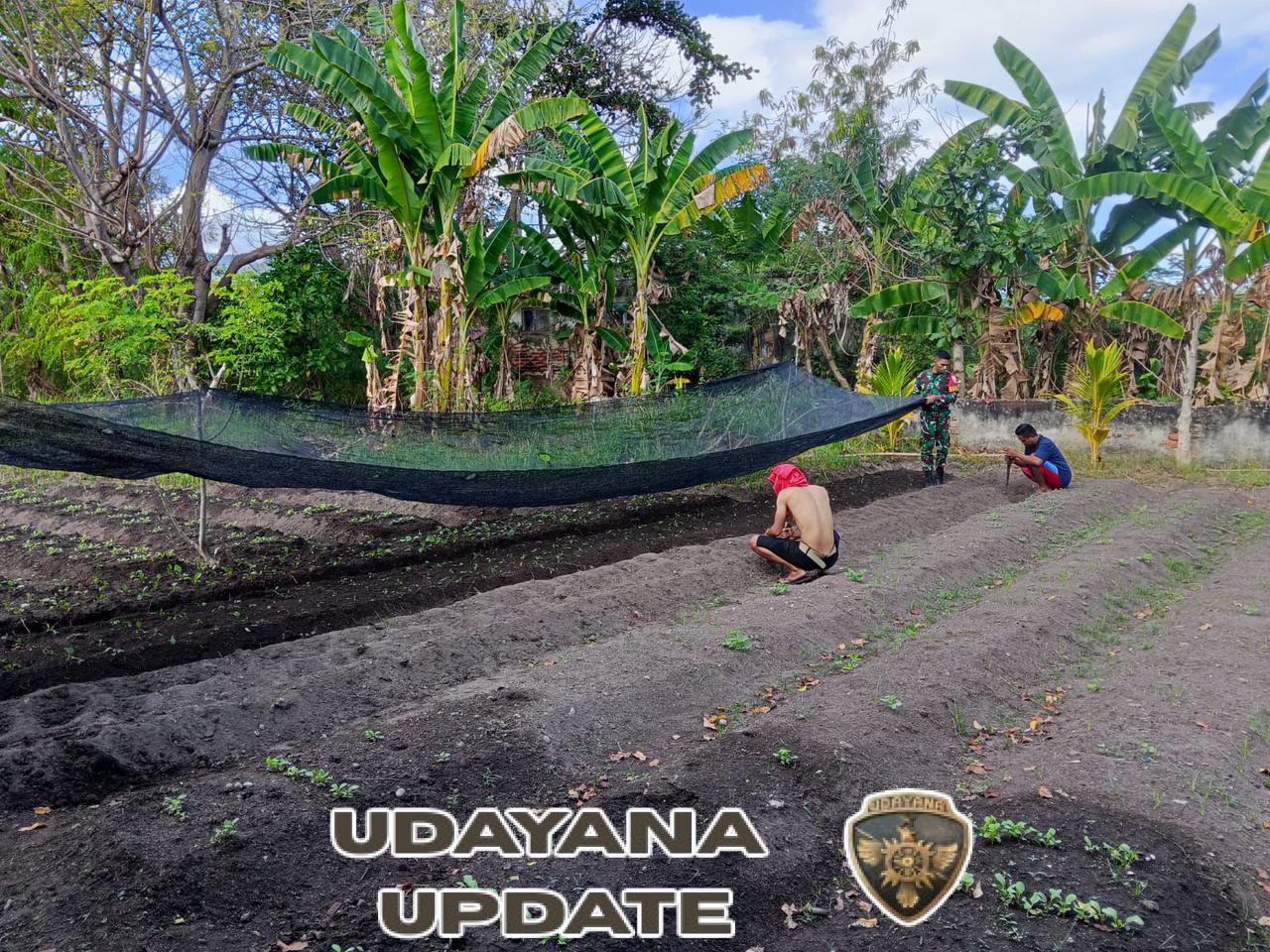 Gotong Royong Babinsa dan Warga Bersihkan Lahan Tidur Jadi Kebun Sayur