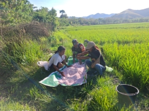 Pantau Tanaman Padi, Babinsa dan Poktan Bersatu di Dusun Sokolago