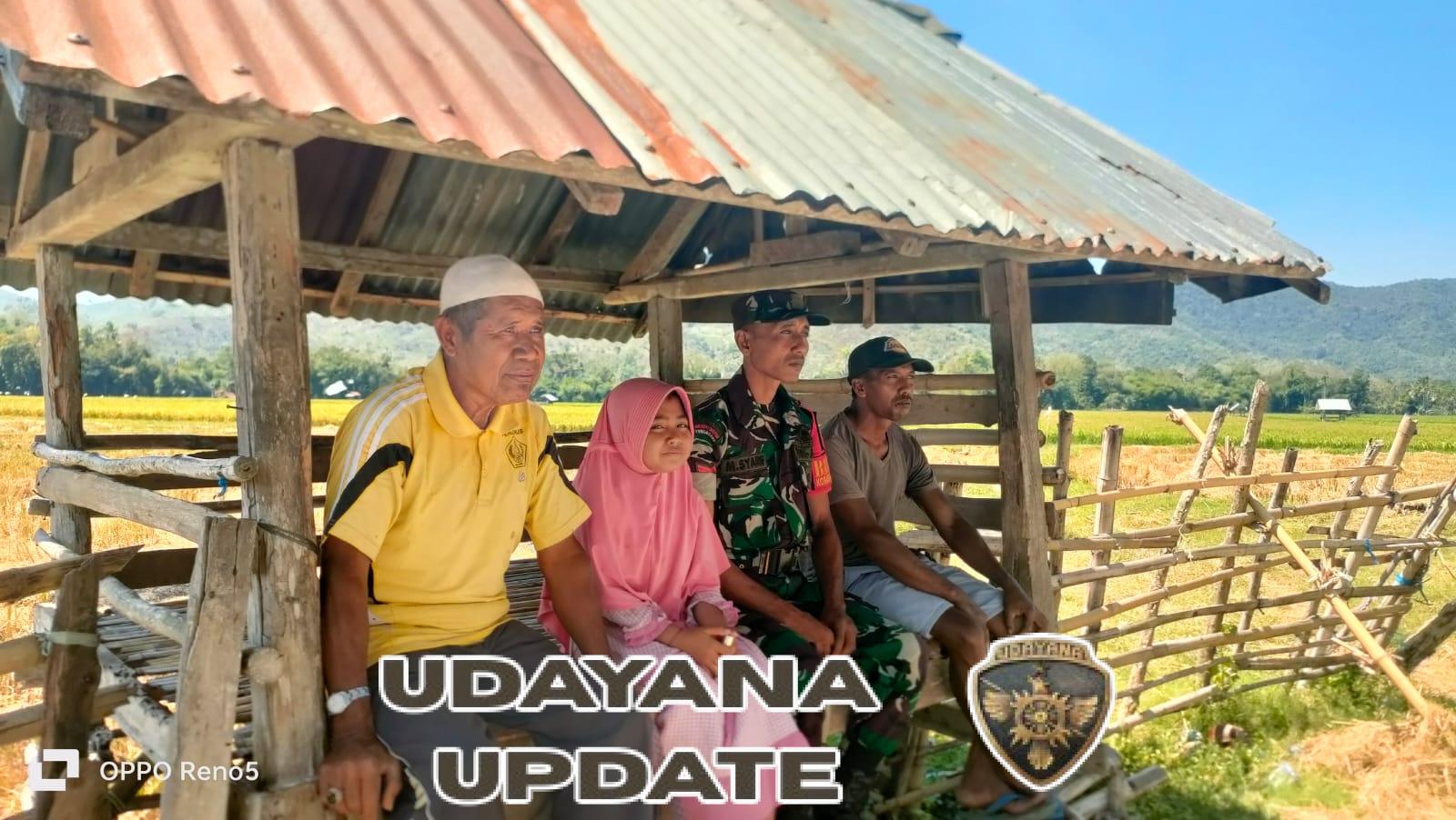Sinergi Babinsa dan Petani Kareke Dukung Program Bulog