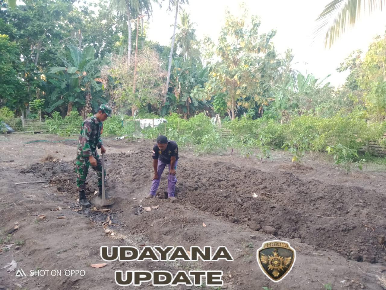 TNI Hadir Bantu Masyarakat Tingkatkan Ketahanan Pangan di Pantar Barat