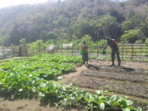 Gotong Royong Babinsa dan Petani Tingkatkan Produktivitas Pertanian