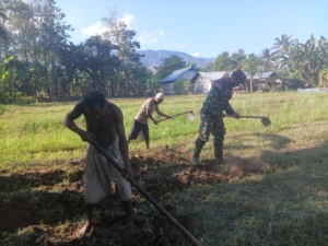 TNI dan Warga Tominuku Kerja Sama Siapkan Lahan Sayur Hijau