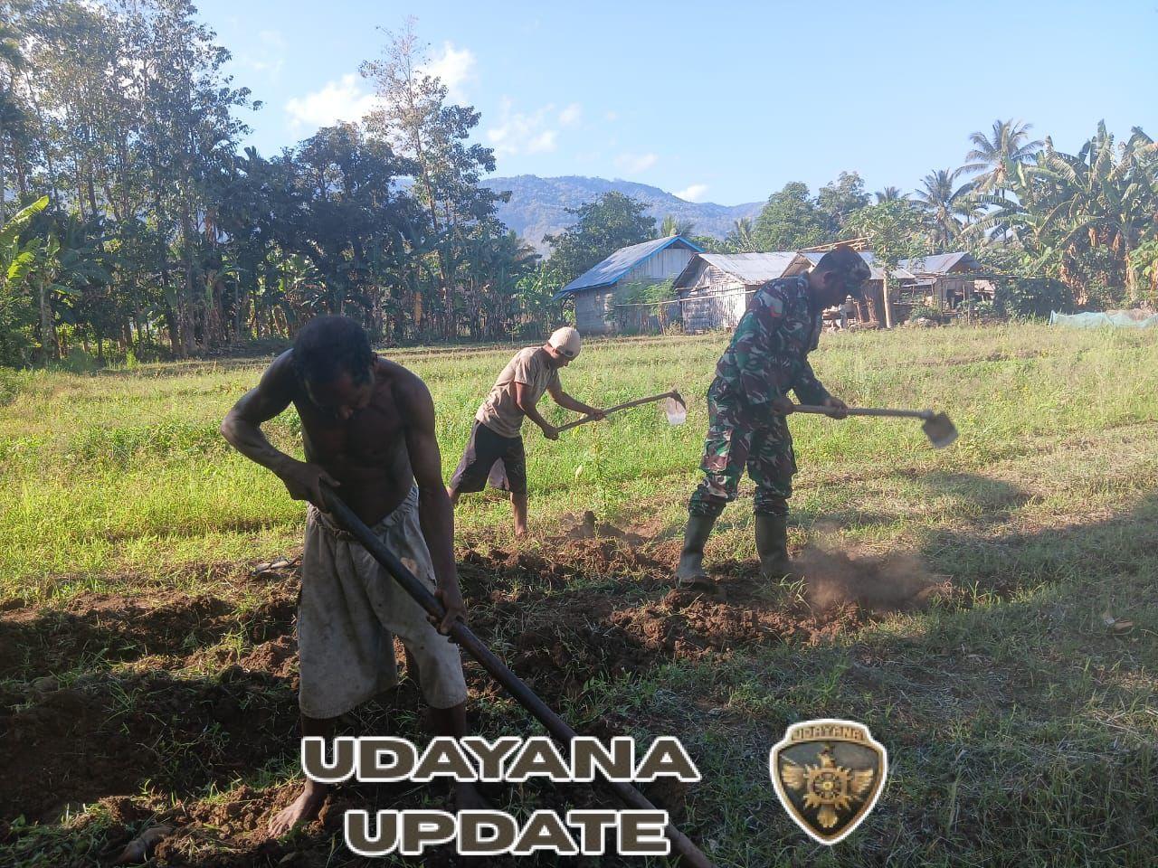 TNI dan Warga Tominuku Kerja Sama Siapkan Lahan Sayur Hijau