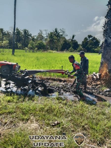 Sinergi TNI-Rakyat: Babinsa Sumba Timur Bantu Petani Gunakan Traktor