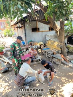 Koramil 1624-07/Nagawutung Dampingi Dinas Peternakan Gelar Vaksinasi HPR di Wulandoni