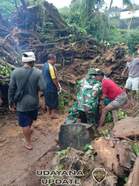 Bahu membahu, Aparat Gabungan Gotong Royong Evakuasi Pohon Tumbang