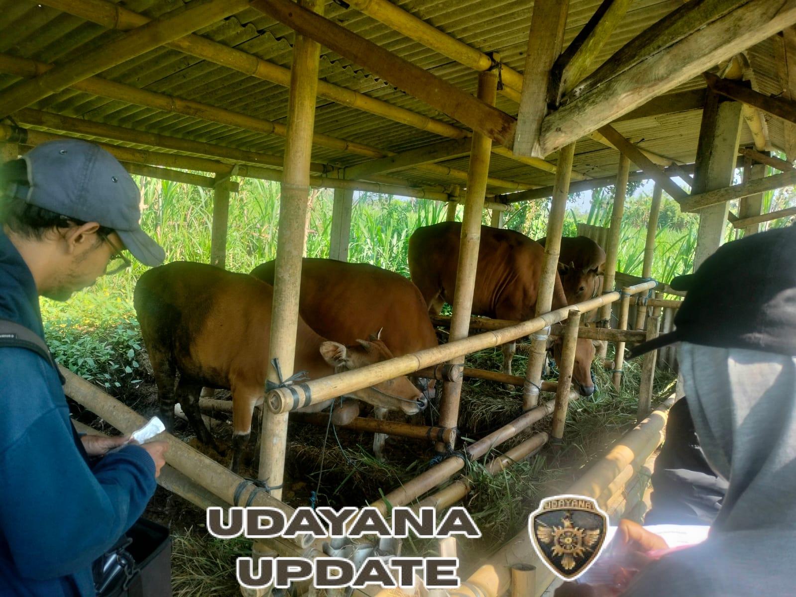 Cegah Penyakit Mulut dan Kuku, Babinsa Bakbakan Bersama Bhabinkamtibmas Kawal Vaksinasi