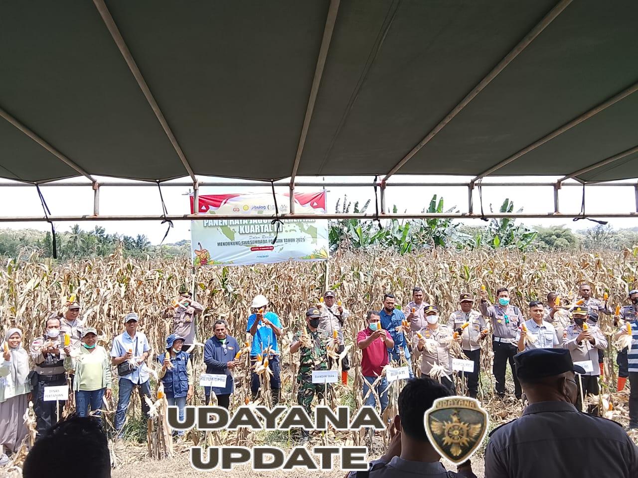 Sinergi TNI-Polri dan Petani, Danramil 1624-06 Hadiri Panen Raya Serentak di Wulanggitang