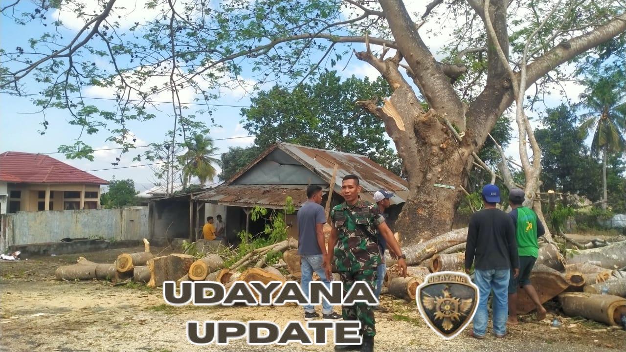 Babinsa Mangge Asi Bantu Warga Saat Pemotongan Pohon