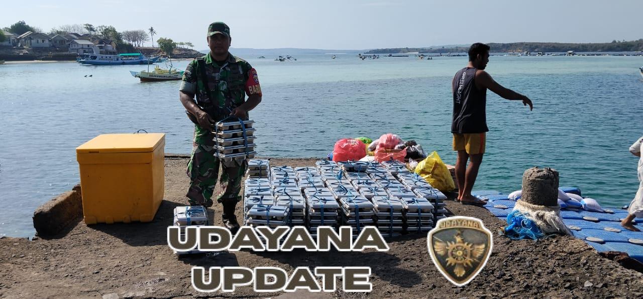 ‎Sinergi Babinsa dan Pemerintah, MBG Tersalurkan Aman ke Pulau Maringkik