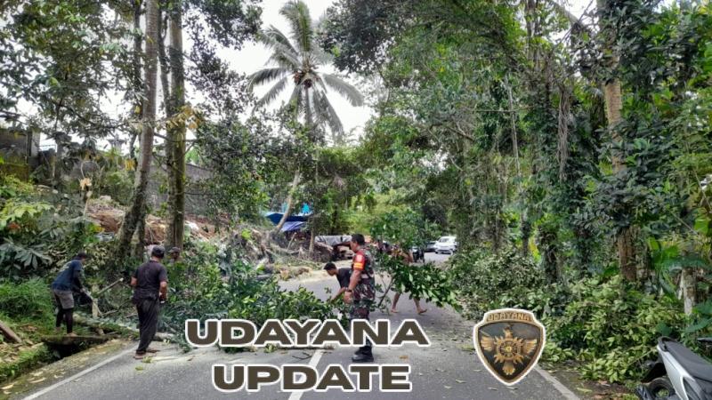Babinsa Jehem Bersama Warga Tebang Pohon Rawan Tumbang di Jalan Raya