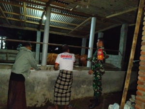 Tokoh Pemuda Apresiasi Patroli Malam Bersama Babinsa, Wujudkan Lingkungan Kondusif