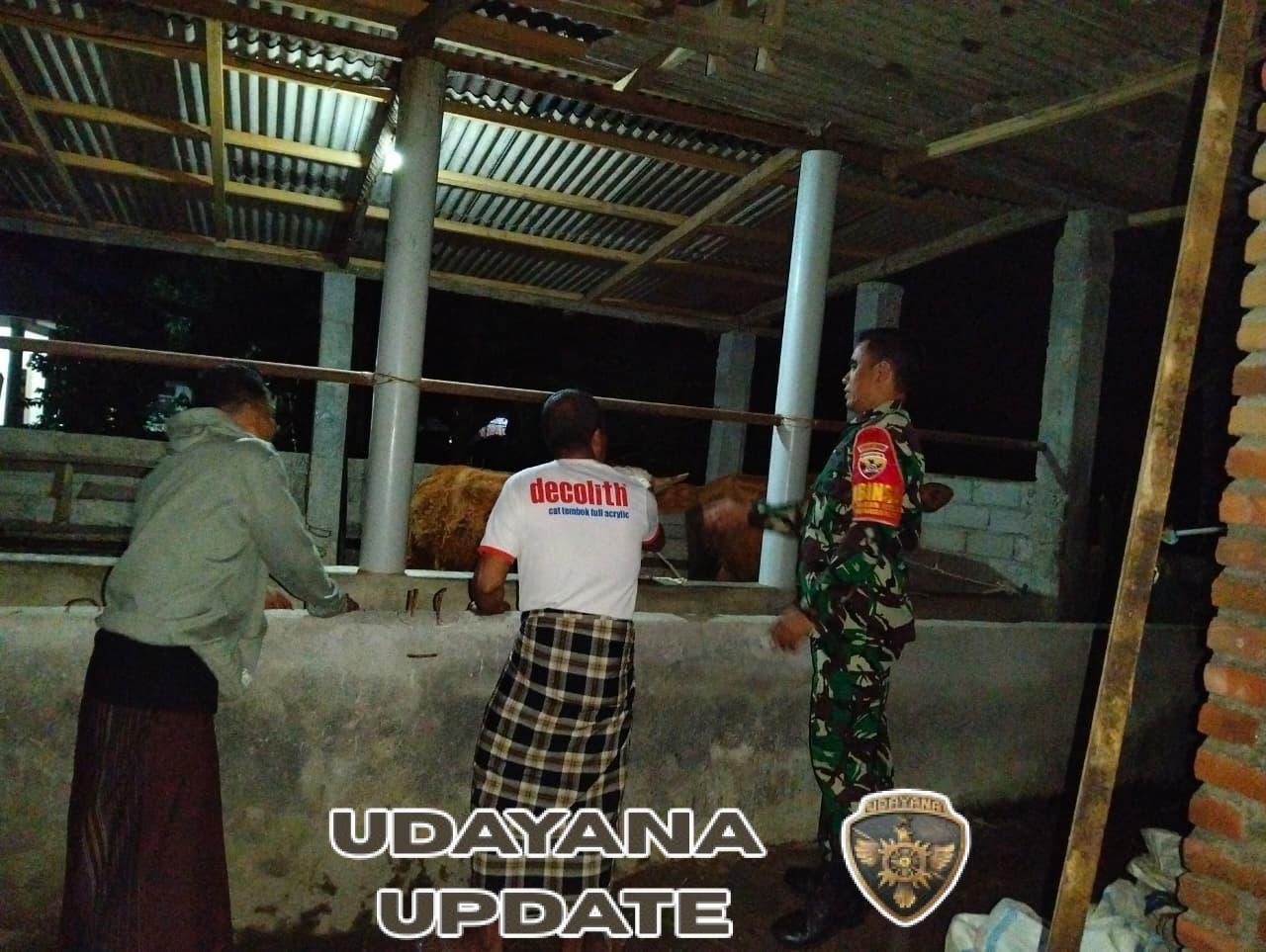 Tokoh Pemuda Apresiasi Patroli Malam Bersama Babinsa, Wujudkan Lingkungan Kondusif