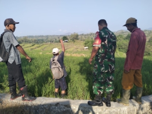 Cegah Ternak Liar, Babinsa Gelar Komsos Bersama Petani