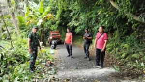 Babinsa 1623-01/Karangasem bersama BPBD tangani pohon tumbang.