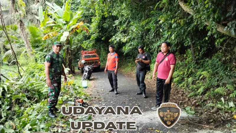 Babinsa 1623-01/Karangasem bersama BPBD tangani pohon tumbang.