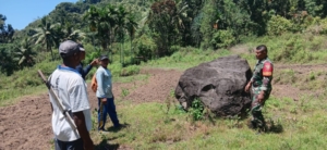 Wujud Tugas Komsos dan Pamwil, Babinsa Kodim 1602/Ende Hadir di Tengah Petani Wolojita