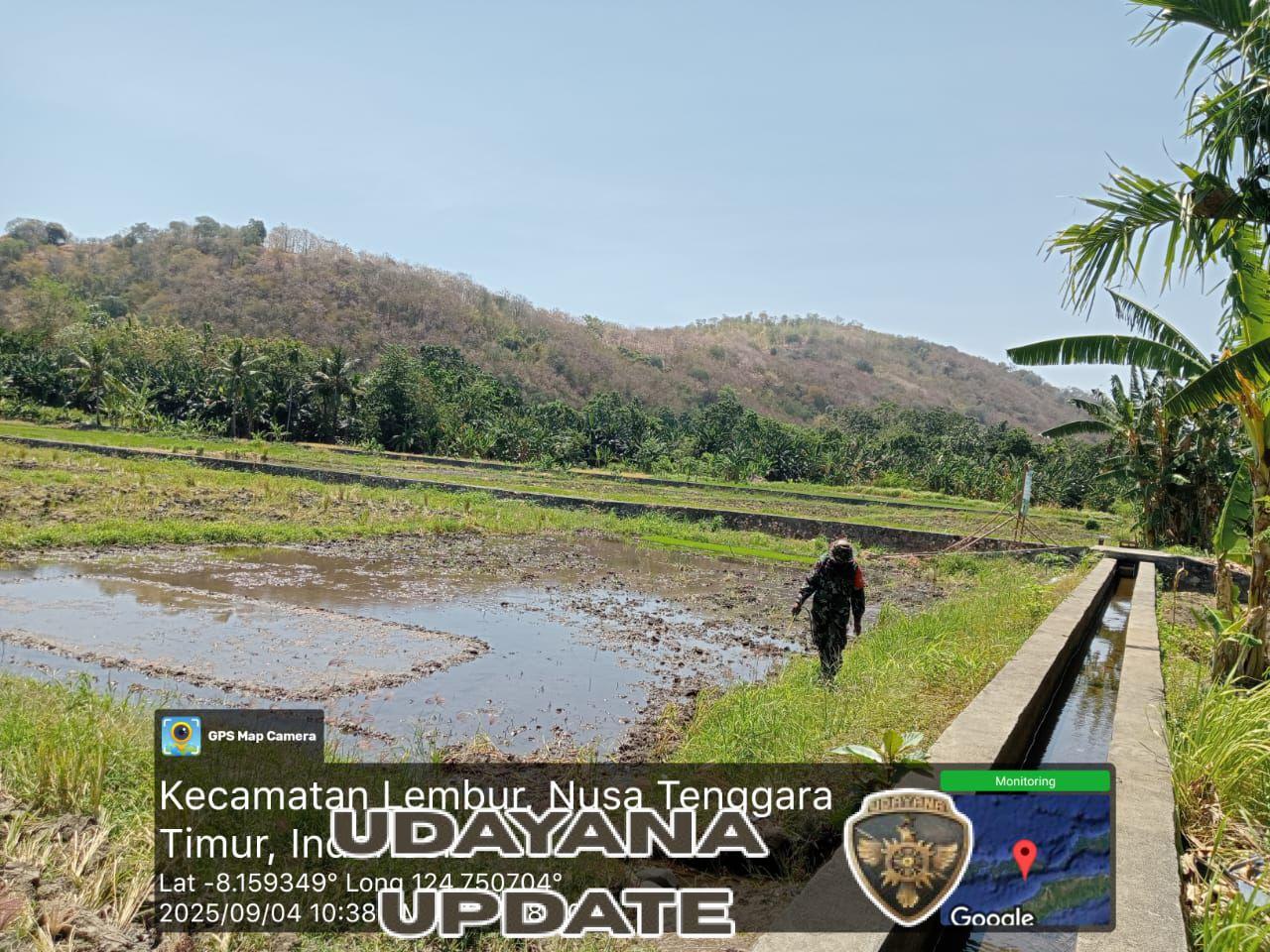 Babinsa Tulleng Dampingi Petani Lakukan Penyemprotan Rumput di Lahan Demplot