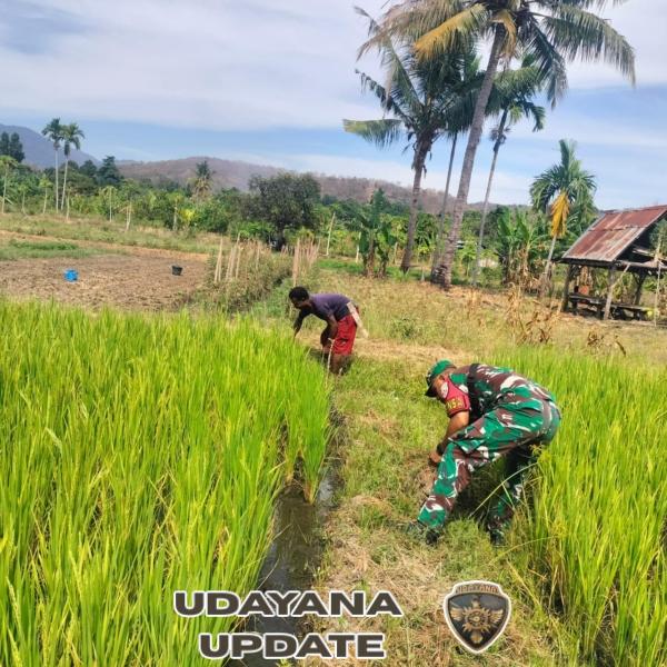 Praka Bing Jonas Turun ke Sawah Bantu Warga Bersihkan Lahan