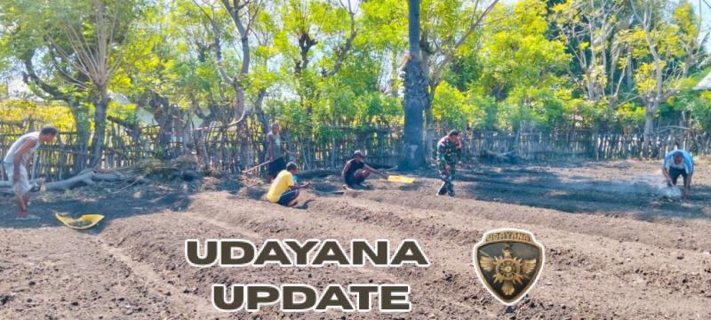 TNI dan Masyarakat Bersinergi, Babinsa Koramil 1618-03/Insut Bantu Kelompok Tani di Desa Humusu Wini