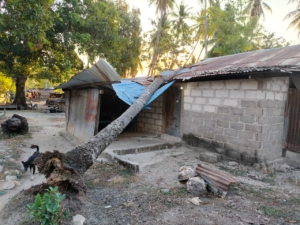 Babinsa Namodale Laksanakan Bhakti Sosial Bantu Warga Terdampak Angin Kencang